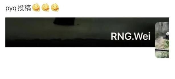 包含Ming在RNG比赛中败北，关键助攻引发热议！的词条