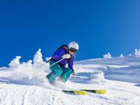 赛点之战德甲前瞻：布伦森伤情更新，利雅得新月冲击连败纪录